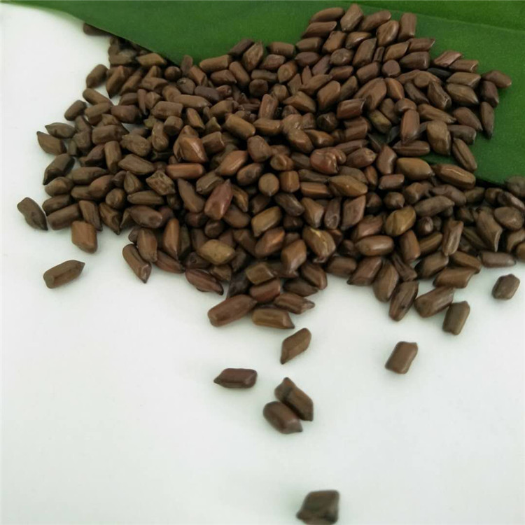 Fangyuan Large Grain Semen Cassia Flower Tea - Wholesale Pricing Available - Image 5