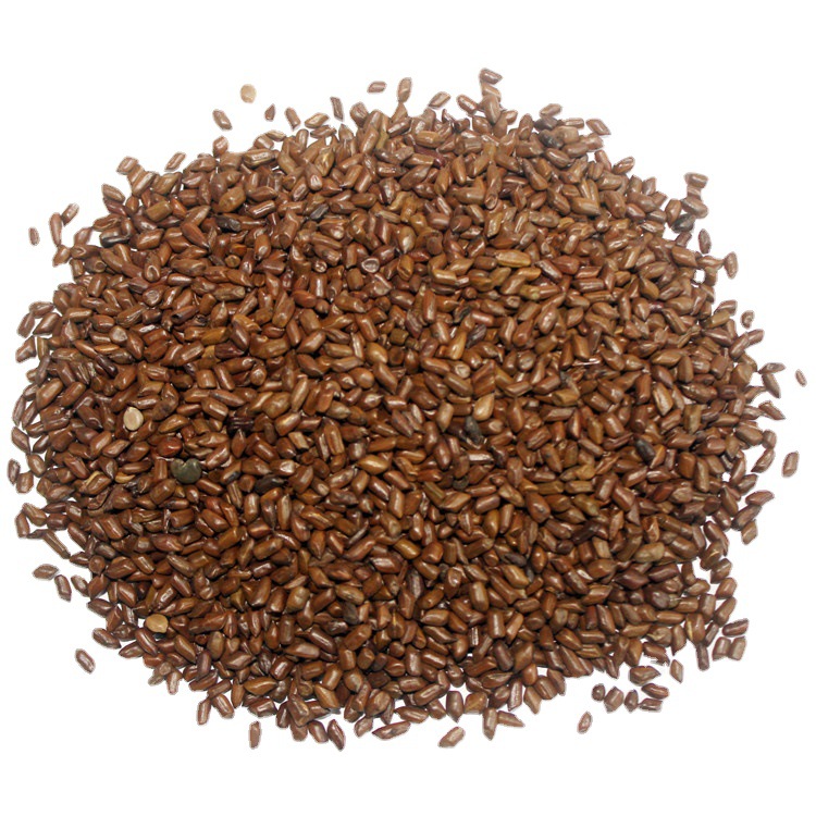 Fangyuan Large Grain Semen Cassia Flower Tea - Wholesale Pricing Available - Image 3