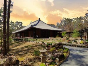 Dream Handmade Jianzhan Tenmoku Tea Cup photo review