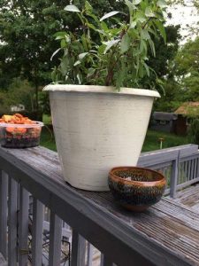 Geocentric Tenmoku Tea Cup photo review