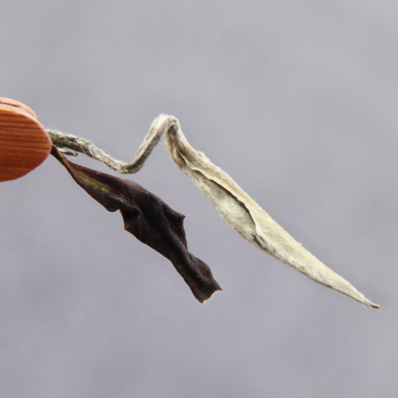 Moonlight Women Pu Erh Tea with Exceptional Fragrance - Super Strong Variety - Image 3